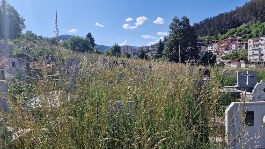 Съветниците от „Нашият Смолян“ за пореден път алармират: Гробищните паркове в Смолян буренясват, паметниците не се виждат от&nbsp;трева